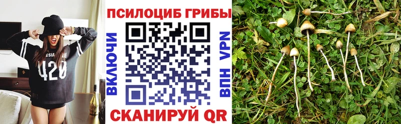 Галлюциногенные грибы Cubensis  Купить закладки  Уссурийск